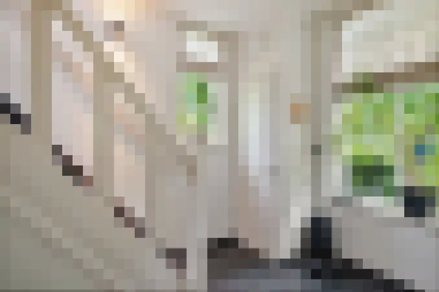 Vossensteeg 1 Overlangel thumbnail 18
