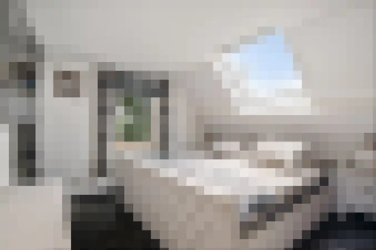 Vossensteeg 1 Overlangel thumbnail 21