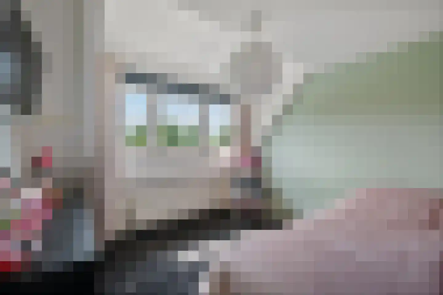 Vossensteeg 1 Overlangel thumbnail 24