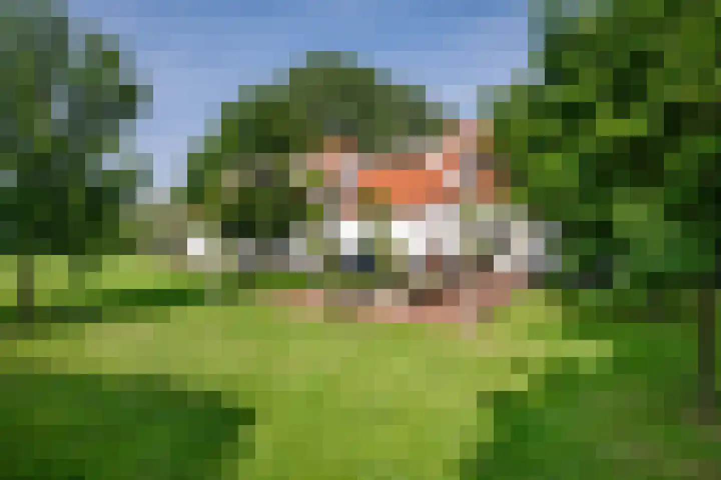 Vossensteeg 1 Overlangel thumbnail 38