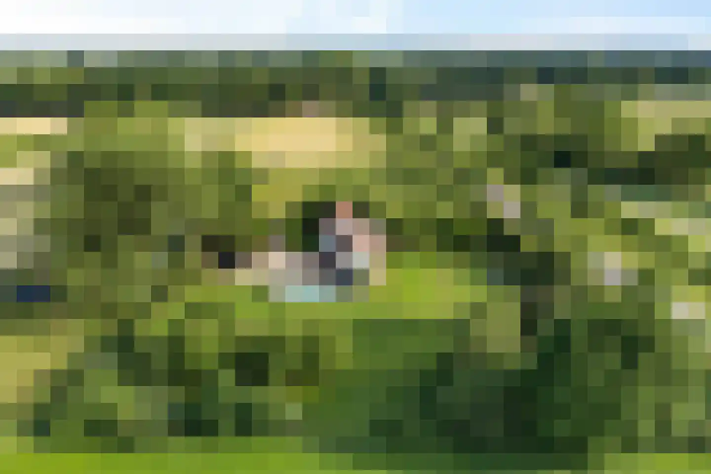 Vossensteeg 1 Overlangel thumbnail 41
