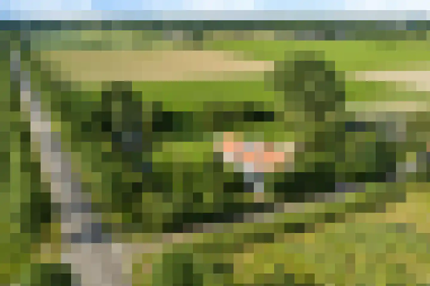 Vossensteeg 1 Overlangel thumbnail 42