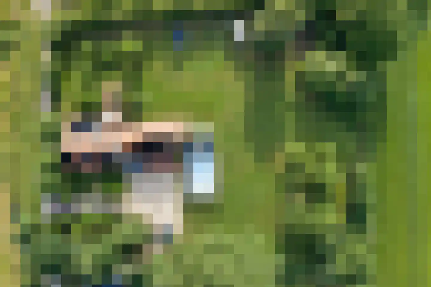 Vossensteeg 1 Overlangel thumbnail 43