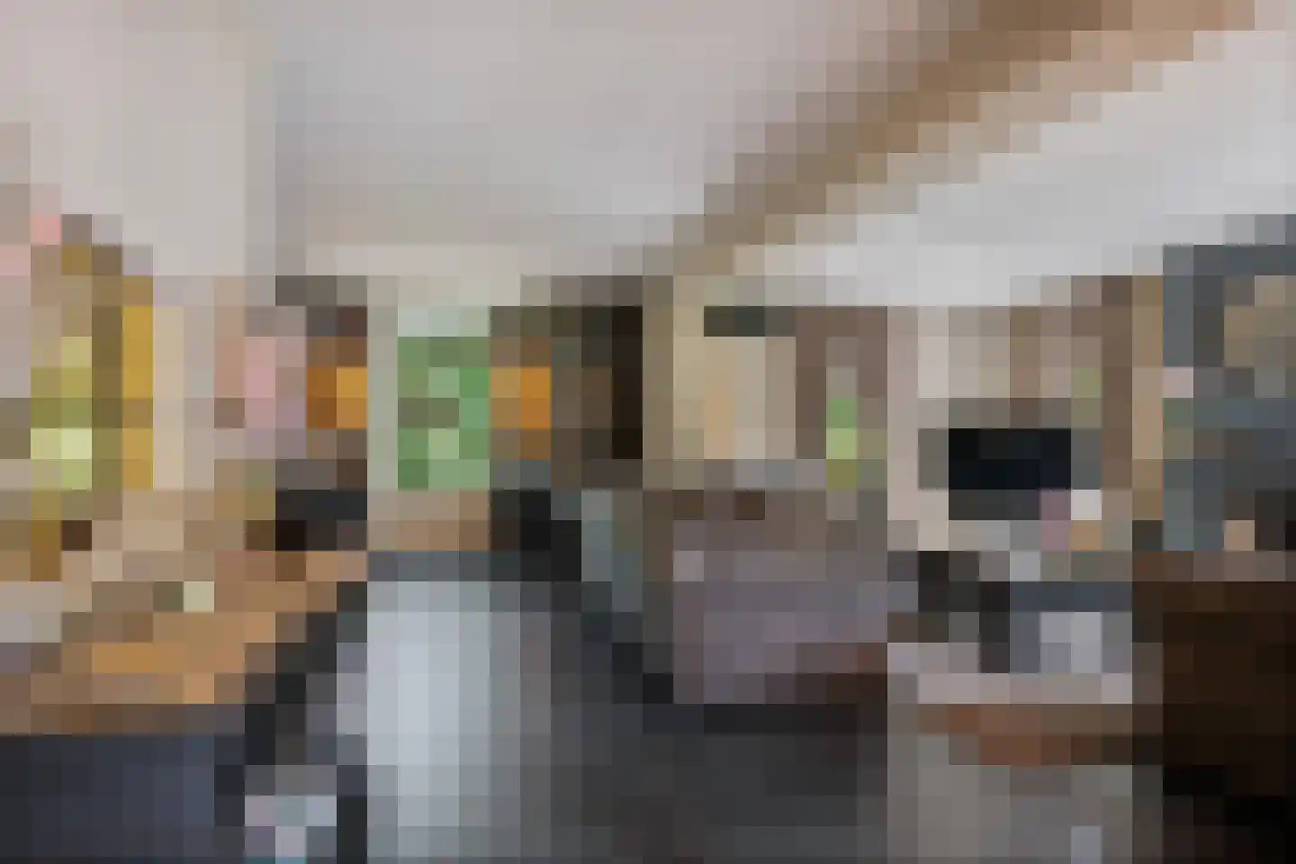 Vossensteeg 1 Overlangel thumbnail 6