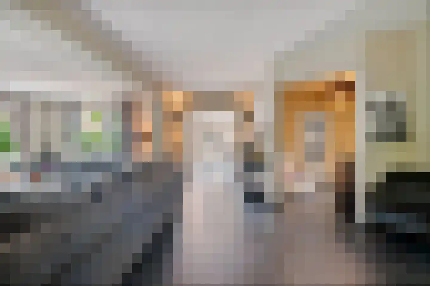 Vossensteeg 1 Overlangel thumbnail 8