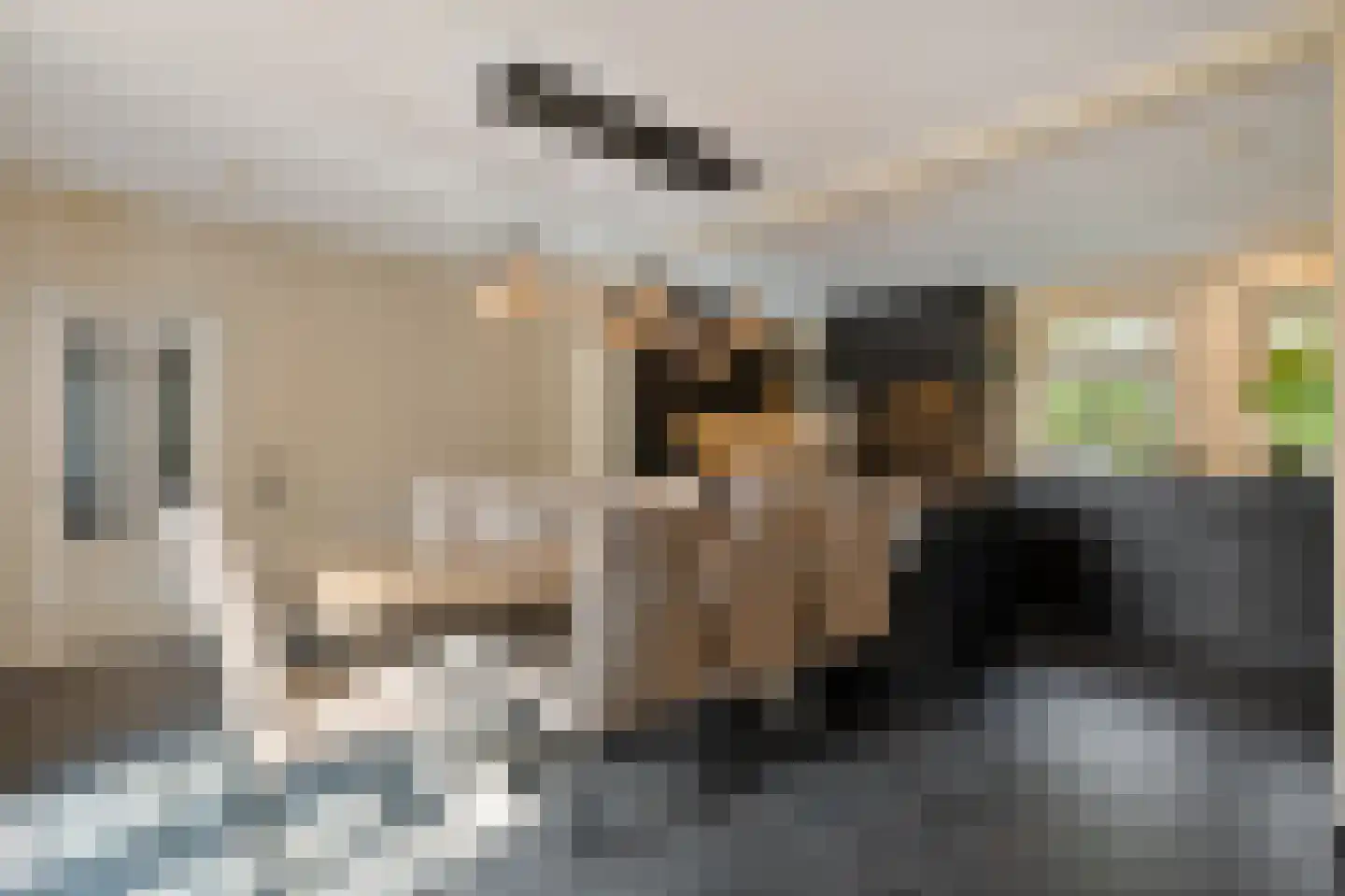 Vossensteeg 1 Overlangel thumbnail 9