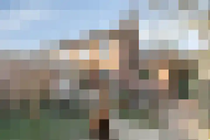 Vossenstraat 10 Doorwerth thumbnail 25
