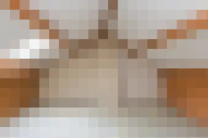 Vossenstraat 12 Doorwerth thumbnail 33