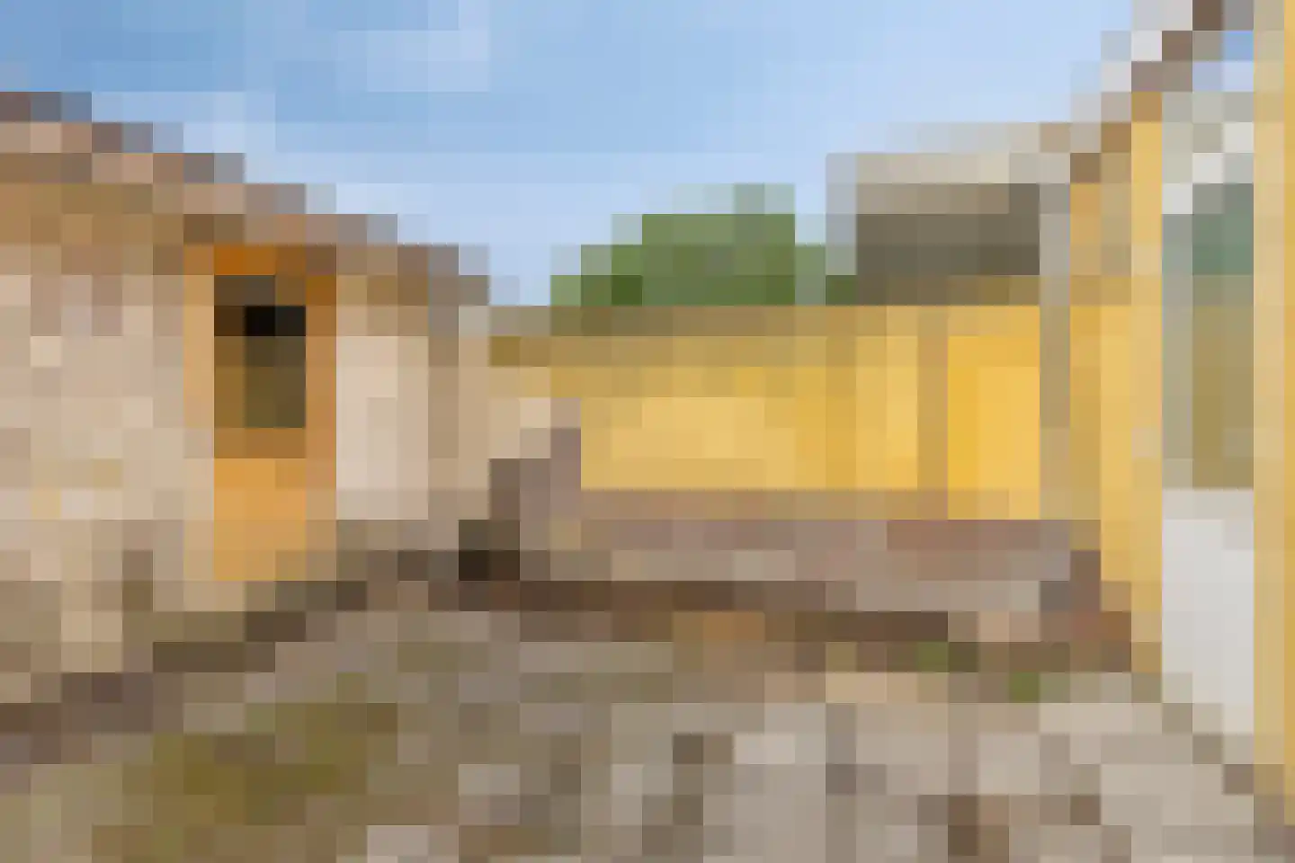Vossenstraat 13 Helmond thumbnail 24