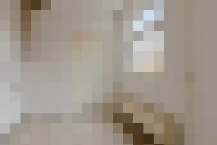 Vossenstraat 14 Helmond thumbnail 11