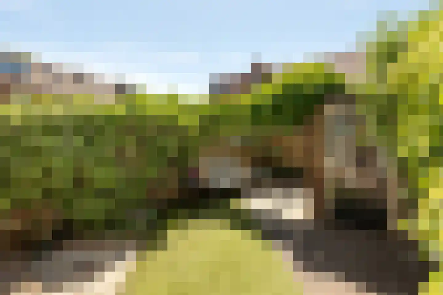 Vossenstraat 23 Hilversum thumbnail 31