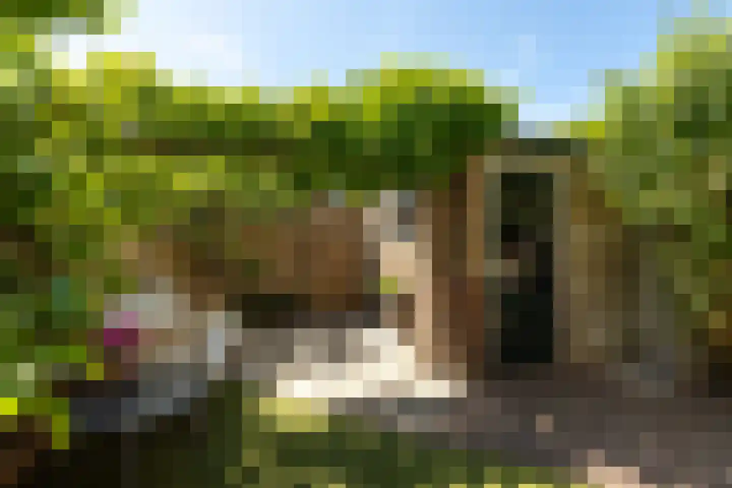 Vossenstraat 23 Hilversum thumbnail 32