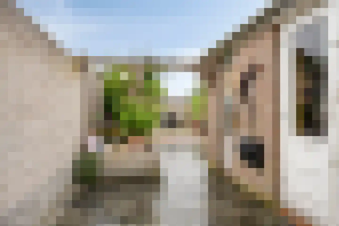 Vossenstraat 24 Helmond thumbnail 4