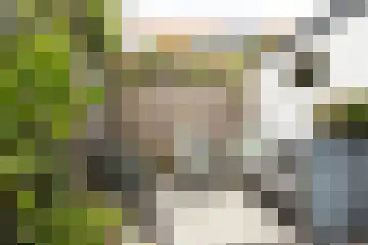 Vossenstraat 27 Hilversum thumbnail 25