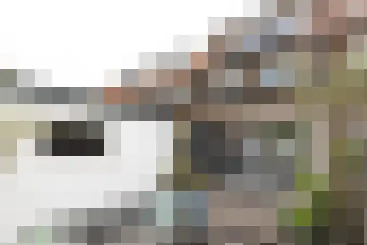 Vossenstraat 27 Hilversum thumbnail 27