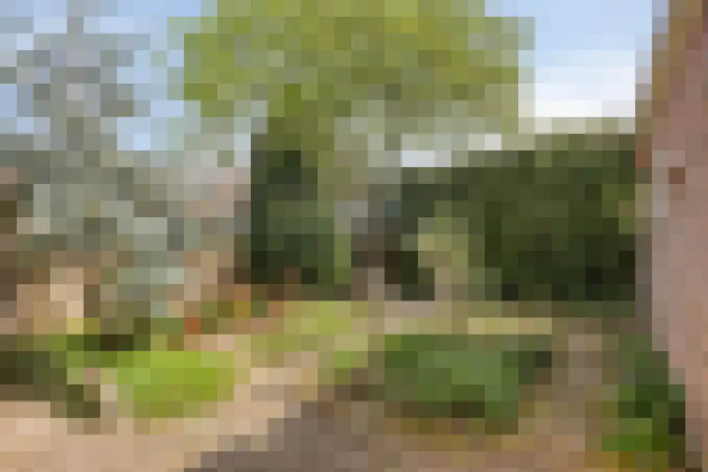 Vossenstraat 34 Doorwerth thumbnail 25