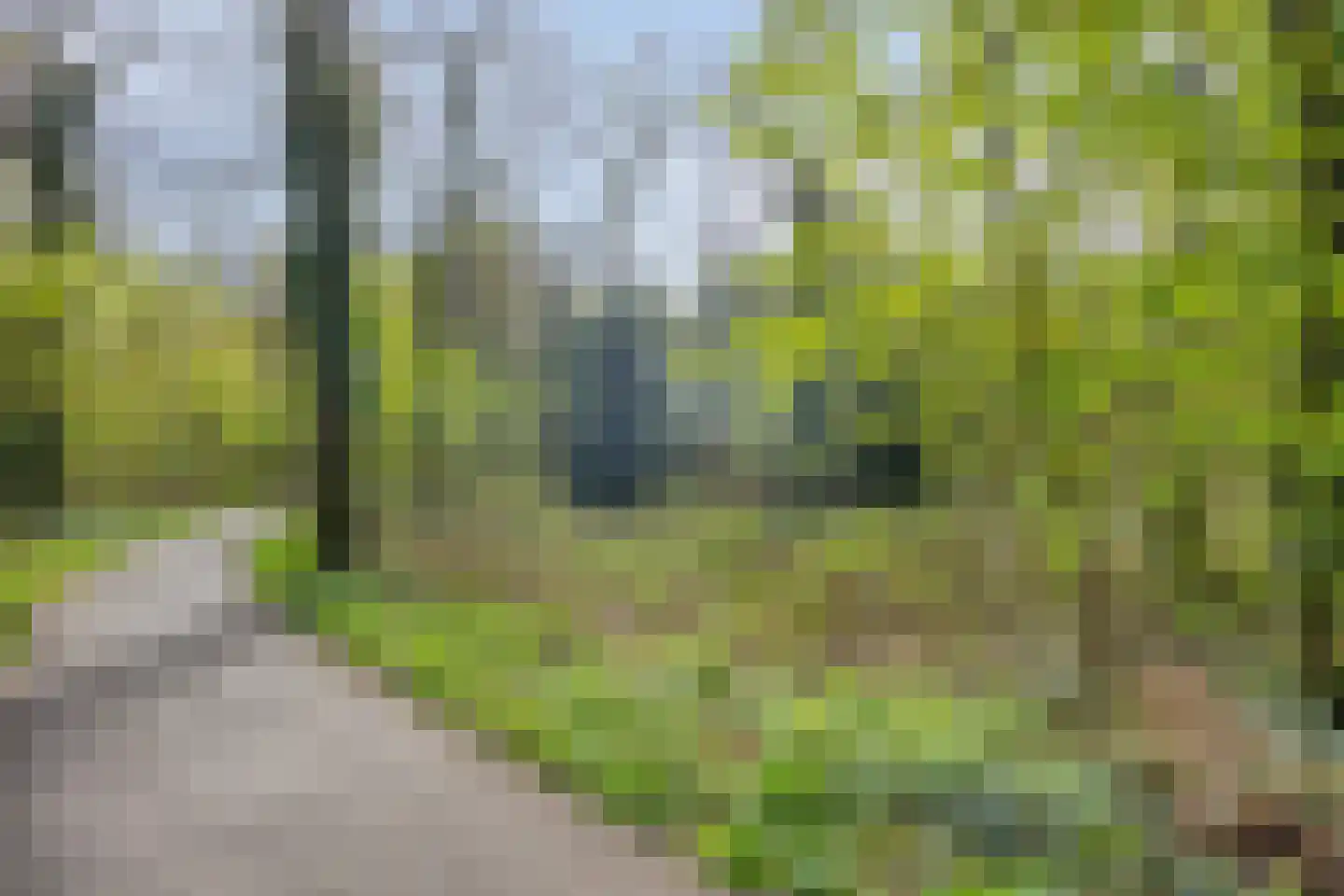 Vossenstraat 34 Doorwerth thumbnail 31