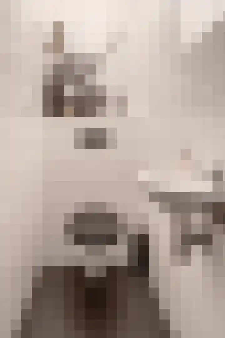 Vossenstraat 4 Doorwerth thumbnail 10