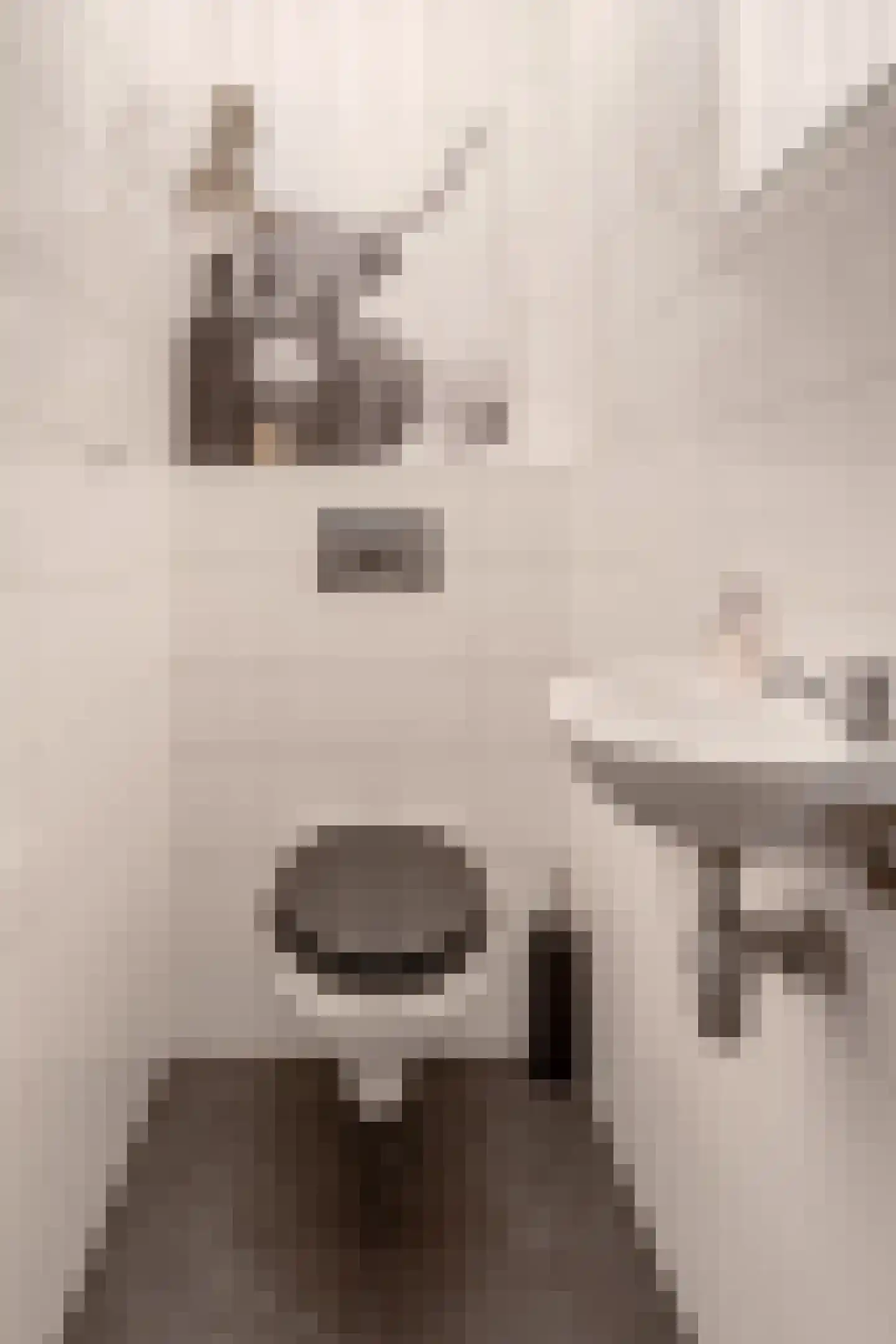 Vossenstraat 4 Doorwerth thumbnail 10