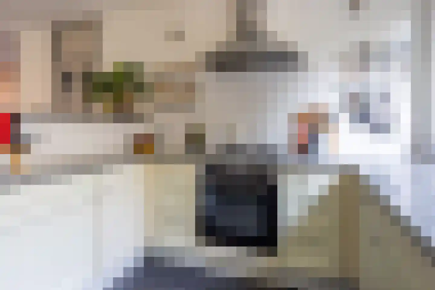 Vossenstraat 4 Doorwerth thumbnail 18