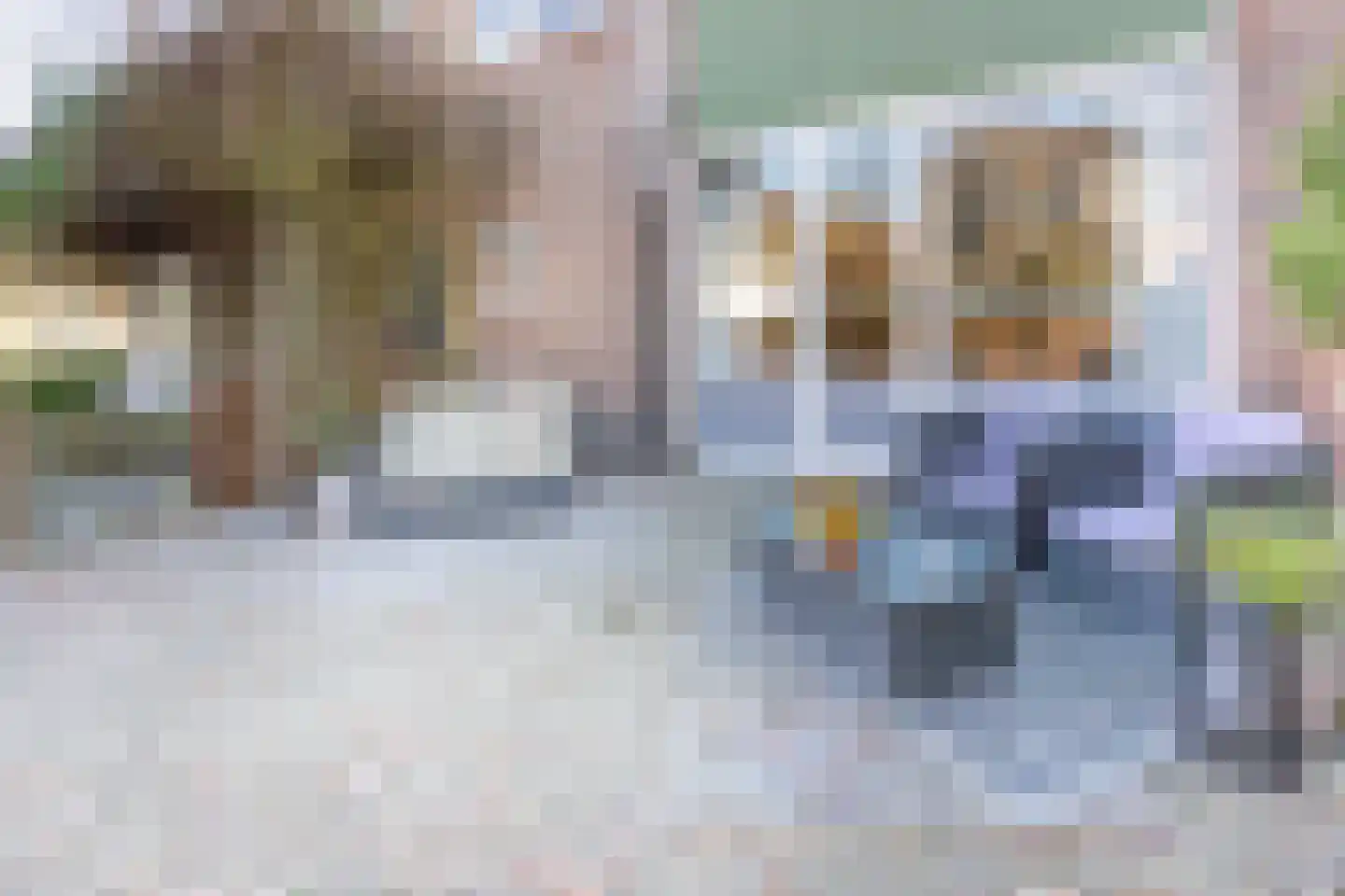 Vossenstraat 4 Doorwerth thumbnail 21