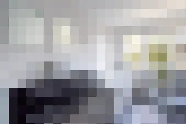 Vossenstraat 4 Doorwerth thumbnail 38