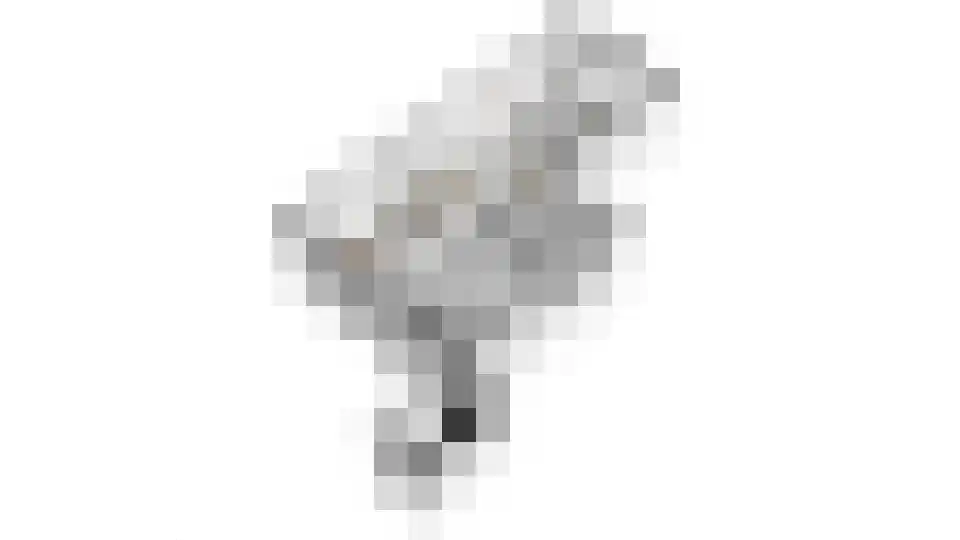 Vossenstraat 4 Doorwerth thumbnail 43