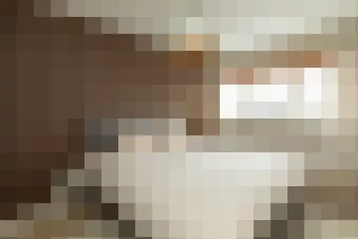 Vossenstraat 57 Hilversum thumbnail 17