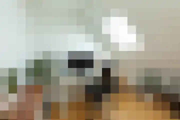 Vossenstraat 57 Hilversum thumbnail 27