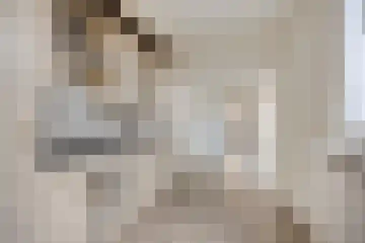 Vossenstraat 8 Helmond thumbnail 12
