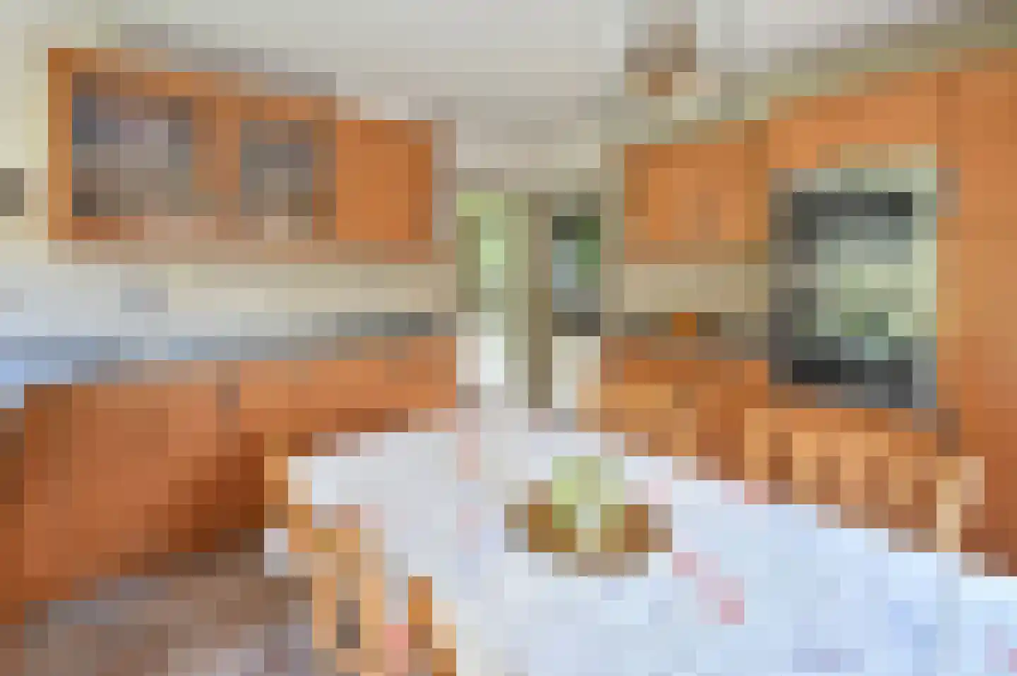 Vossenweg 1 a Nijkerk thumbnail 12