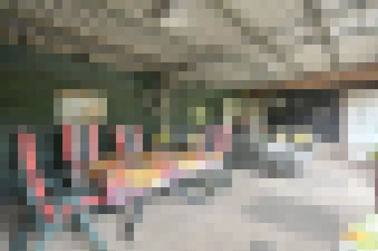 Vossenweg 1 a Nijkerk thumbnail 23