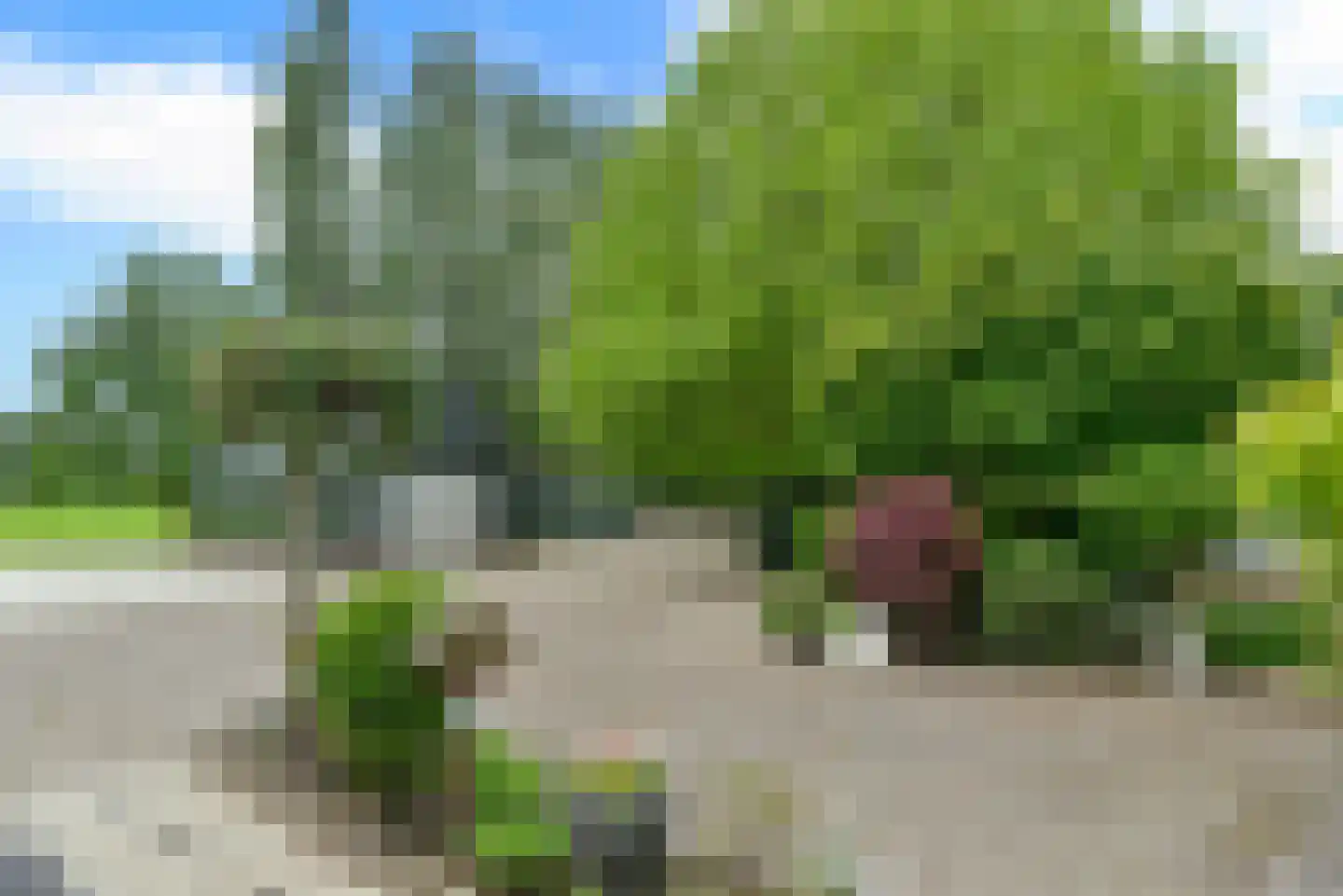 Vossenweg 1 a Nijkerk thumbnail 28