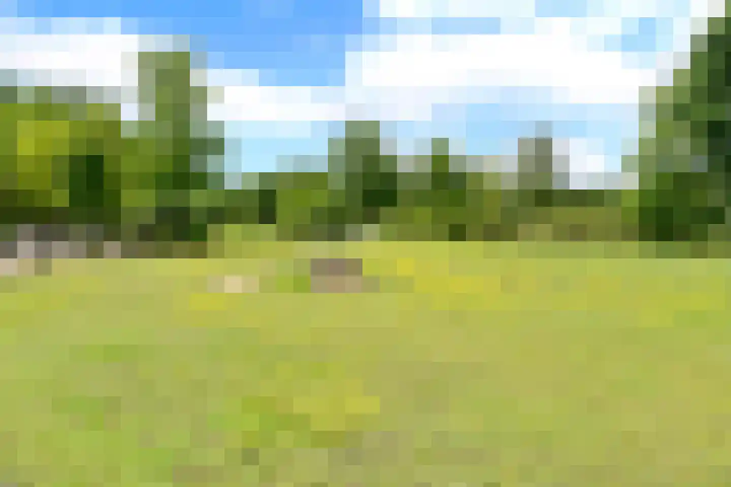 Vossenweg 1 a Nijkerk thumbnail 36