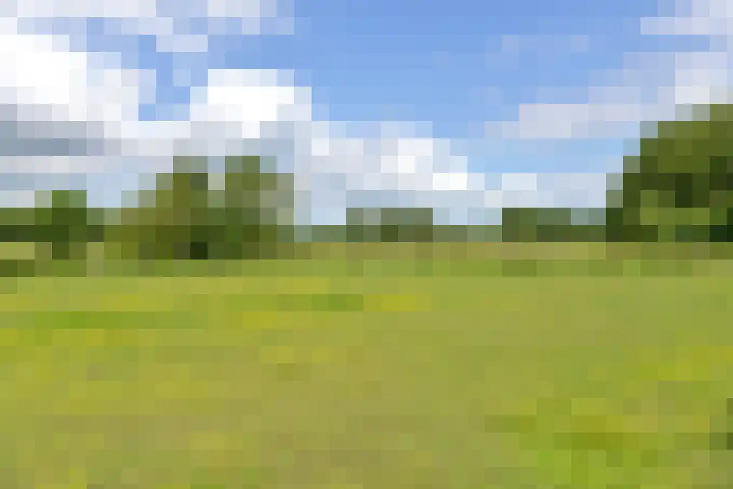 Vossenweg 1 a Nijkerk thumbnail 37