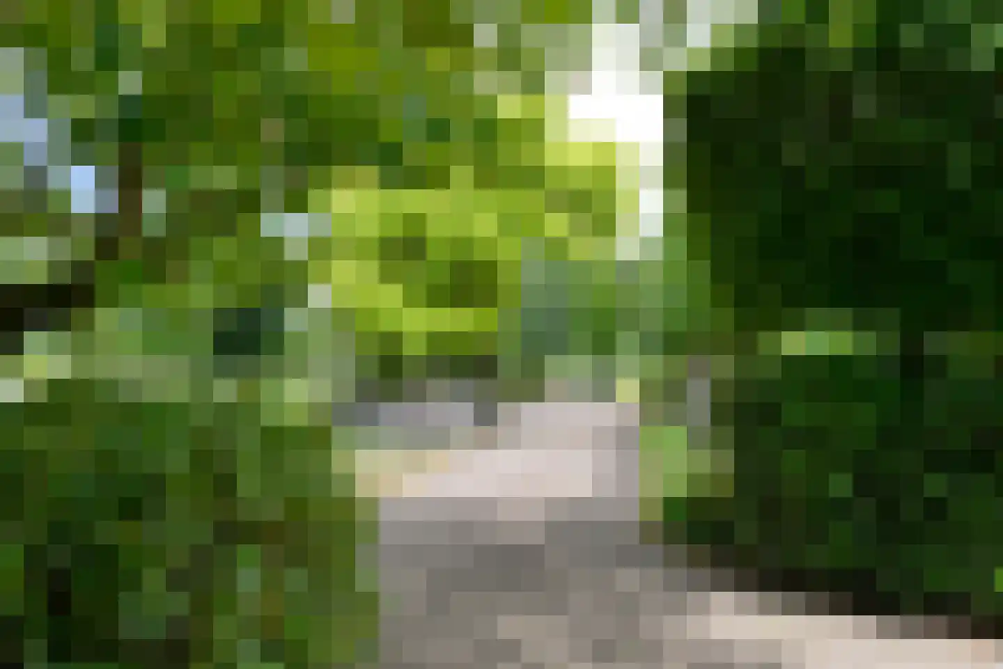 Vossenweg 1 a Nijkerk thumbnail 39