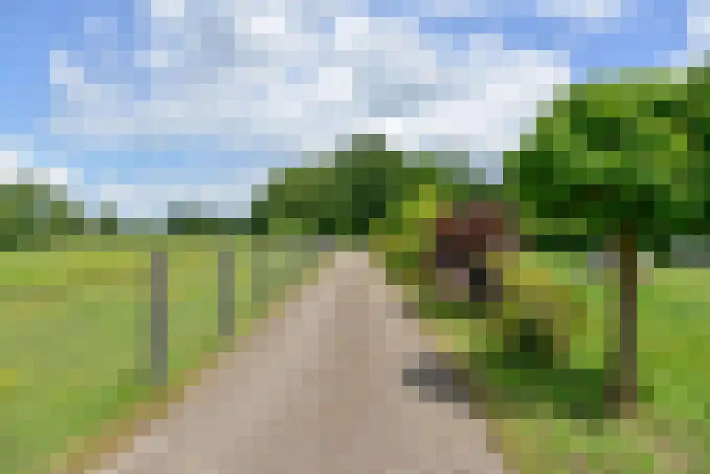 Vossenweg 1 a Nijkerk thumbnail 40