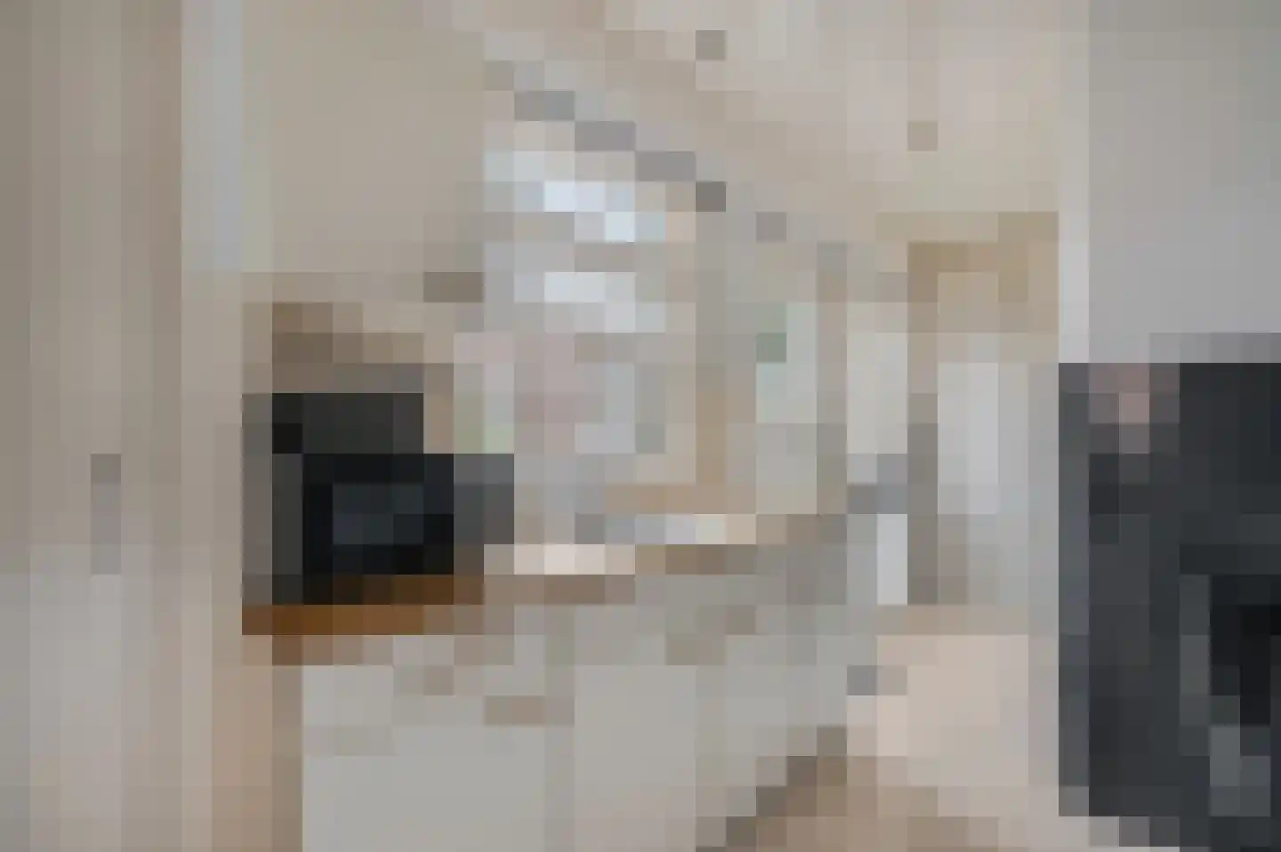 Vossenweg 12 Doorn thumbnail 15
