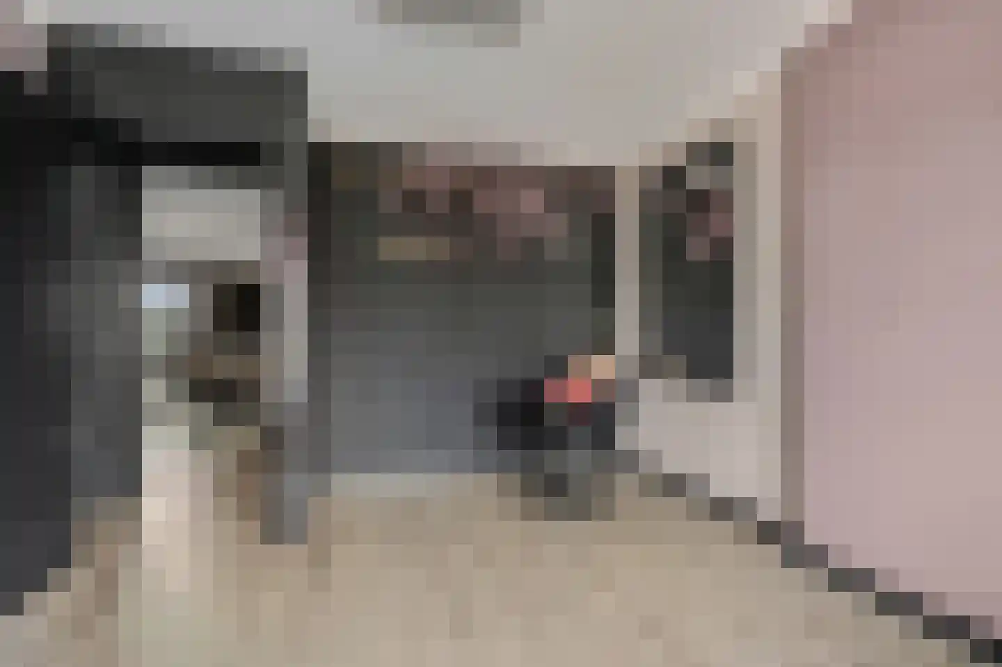 Vossenweg 12 Doorn thumbnail 30