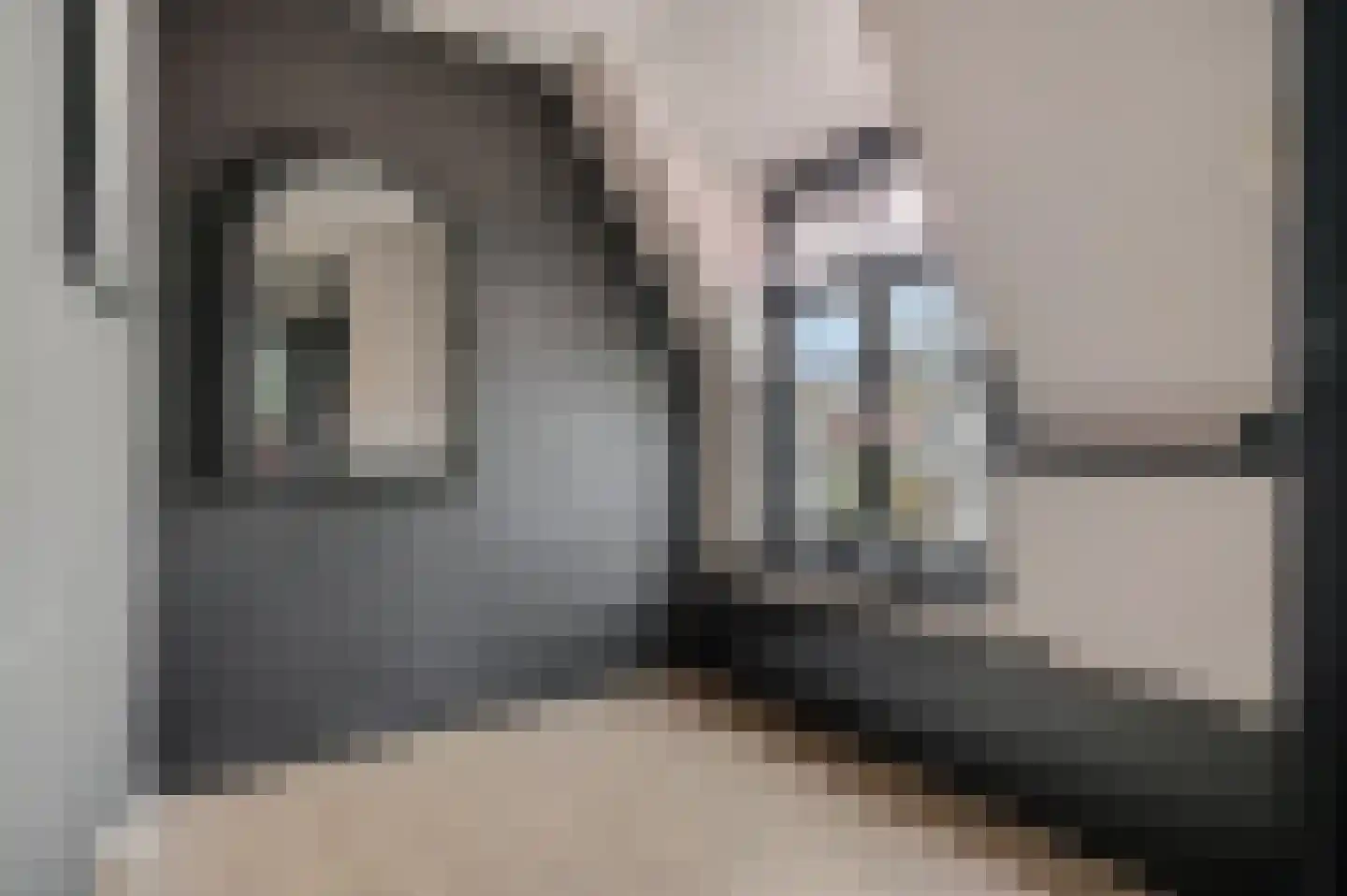 Vossenweg 12 Doorn thumbnail 33