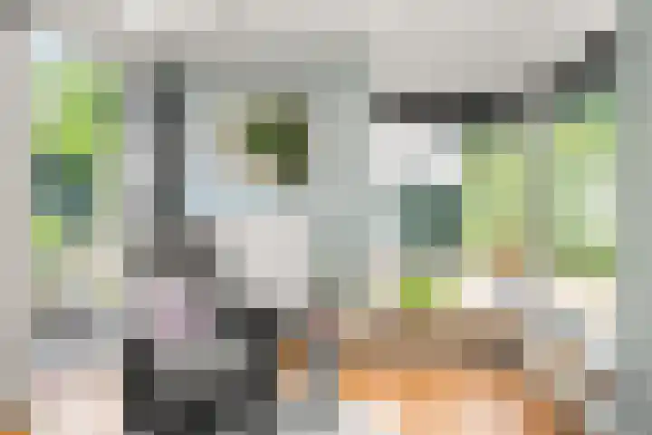 Vossenweg 35 Bennekom thumbnail 13