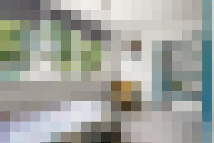 Vossenweg 35 Bennekom thumbnail 25