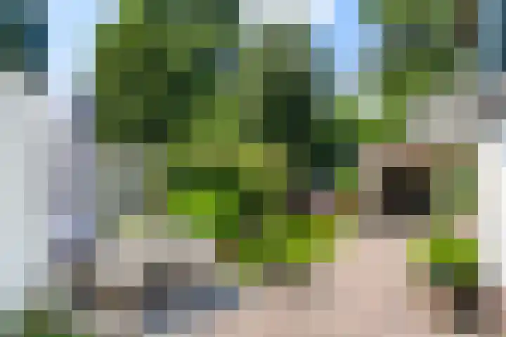 Vossenweg 35 Bennekom thumbnail 34