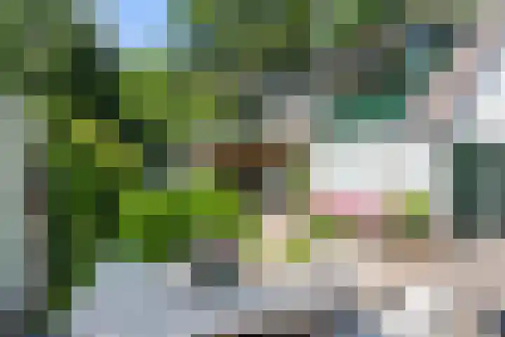 Vossenweg 35 Bennekom thumbnail 35