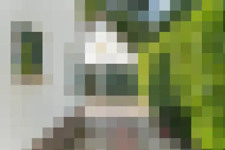 Vossenweg 35 Bennekom thumbnail 40