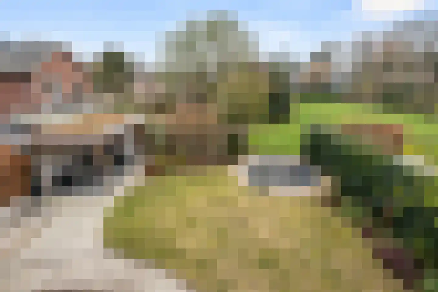 Vossenweg 4 B Bennekom thumbnail 50