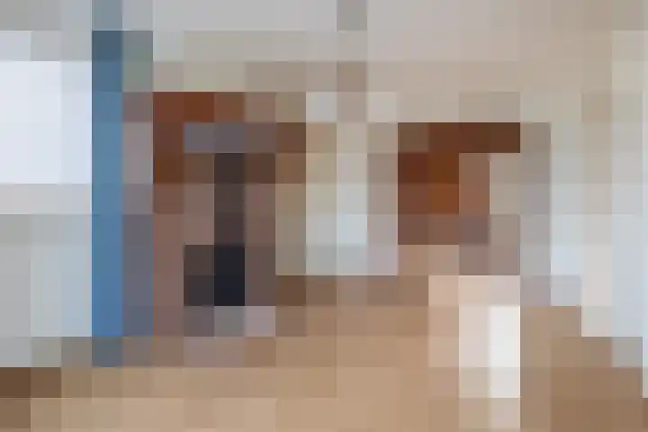 Vossenweg 5 Liessel thumbnail 11