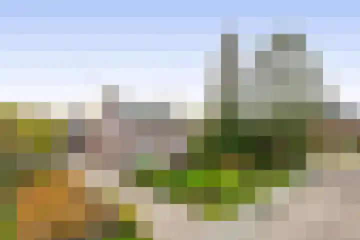 Vossenweg 5 Liessel thumbnail 38