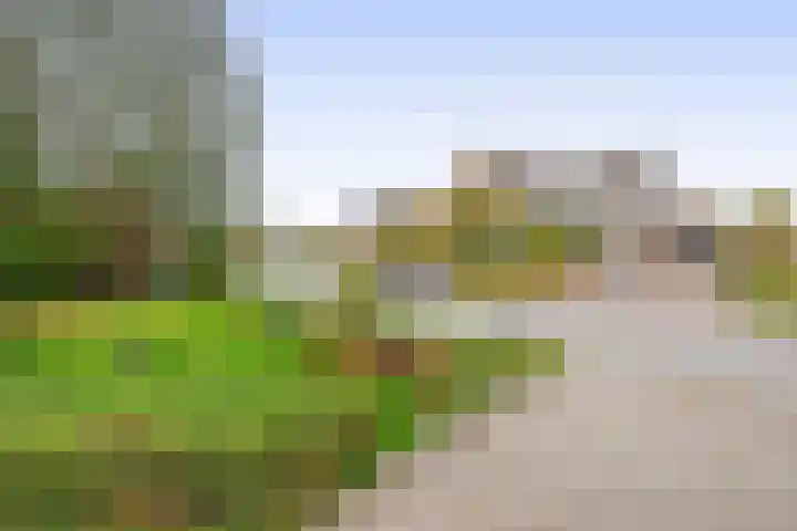 Vossenweg 5 Liessel thumbnail 39