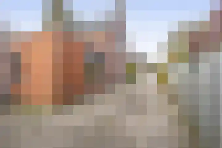 Vossenweg 5 Liessel thumbnail 40